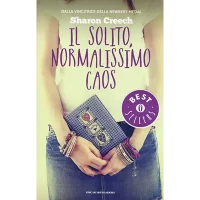 IL-SOLITO-NORMALISSIMO-CAOS
