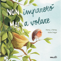 Non-imparero-mai-a-volare